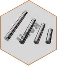 Magnetic rod exporter